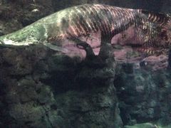 iphone_upload_pic-郑州海洋馆