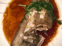斑竹虾-陶陶居海鲜酒家(新马路店)