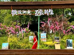 -金鸡湖桃花岛