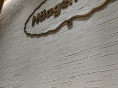 -哈根达斯(国瑞店)