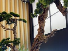 -和牛村烧肉放题(潍坊泰华店)