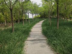 -天津东丽湖风景区