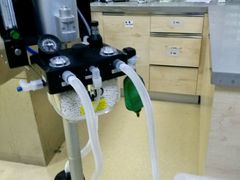 -爱侣宠医·鹦鹉专科·小型哺乳类·异宠专科(灵石路店)