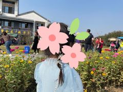-七的湖·晚芳亭·阳澄湖农家菜·大闸蟹(莲花岛店)