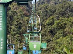 -野象谷景区