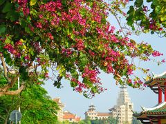 -集美学村