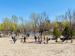 -东郊湿地公园