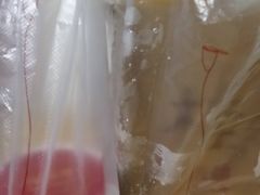 -桂桂茶(滨江百联店)