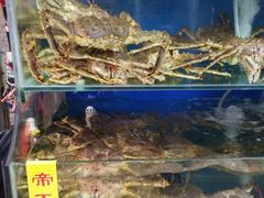 -众彩物流水产市场