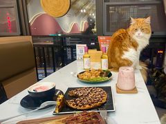 -喵园·猫主题咖啡厅·撸猫·猫咖(国贸店)