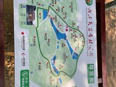 -广东茂名森林公园