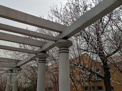 -桃花堤公园