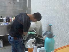 -宠物梦想家(日月豪庭店)