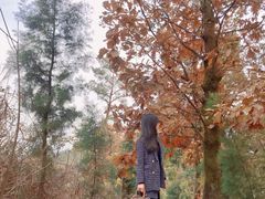 -金堂县云顶石城风景区