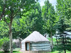 -九十九顶毡房(阜石路店)