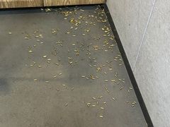 -都市枪神实弹射击俱乐部