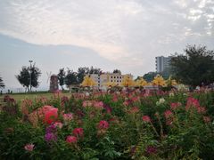 -玫瑰海岸文化旅游度假区