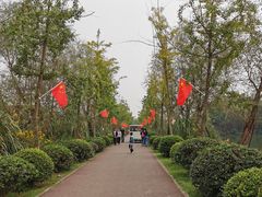 -白鹭湾湿地公园