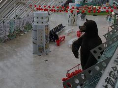 -天津自然博物馆