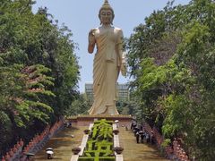 -西双版纳勐泐文化旅游区