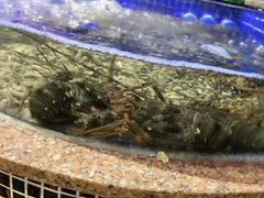 -青蓬蒸汽海鲜·深圳老字号·团建聚会(壹方城店)