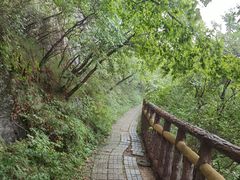 -圣莲山风景区