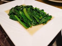 油麦菜-潮福汇