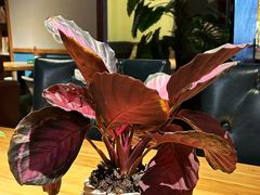 -欧典咖啡屋(台东店)