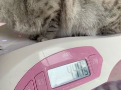 -宠颐生中康贝怡动物医院