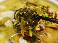 特色酸菜鱼-小菜园新徽菜(无锡人民路红豆店)