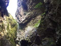 -牛背梁国家森林公园