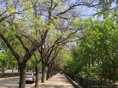 -北京工商大学(阜成路校区)