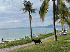 -三亚西岛海洋文化旅游区