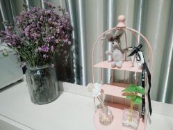 -三只熊皮肤管理中心