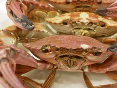螃蟹-红叶日料·放题·海胆·定食(星海店)