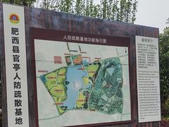 -官亭林海