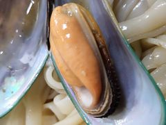新西兰青口-荔林食店(西华路店)