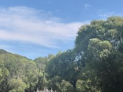 -石家庄市动物园