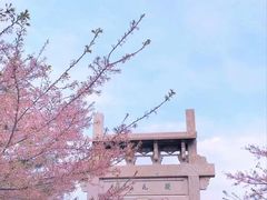 -樱花山风景区