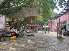 -顺德大良半月城游乐场