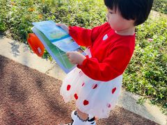 -上海长兴岛郊野公园