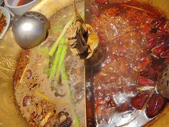 -小龙翻大江文化火锅(宽窄店)