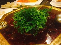 -蜀九香火锅(彩虹店)