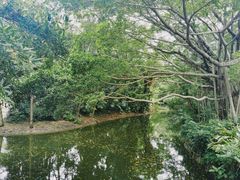 -人民公园(罗湖区)