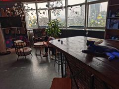 -KingBull私教健身&格斗订制(龙井商业中心店)