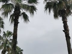 -金沙湖公园