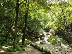 -本溪汤沟绿石谷森林公园