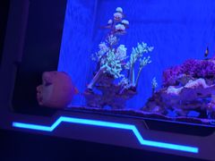 -大连圣亚海洋世界
