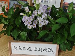 -约读书房(市南校区)