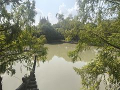 -汇龙潭